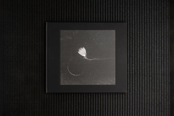 ENDER MAGNOLIA Original Soundtrack [vinyl record]