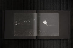 ENDER MAGNOLIA Original Soundtrack [vinyl record]