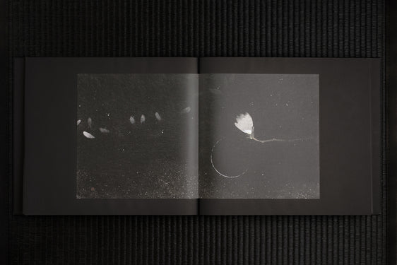 ENDER MAGNOLIA Original Soundtrack [vinyl record]